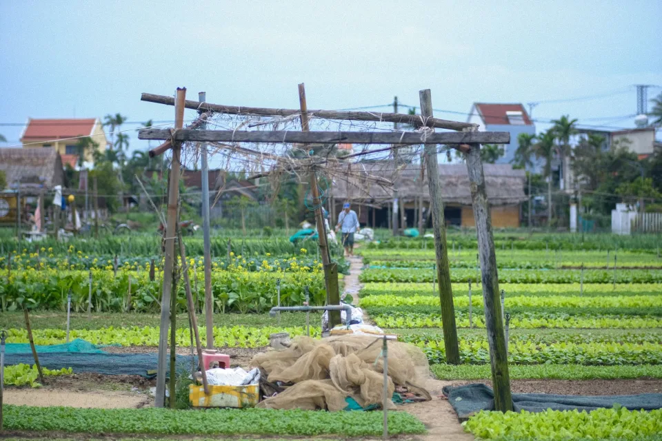 Khu đóng gói, sơ chế